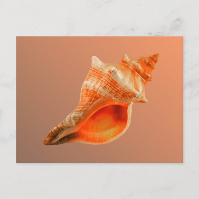 Carte Postale Fox dépouillé (Devant)