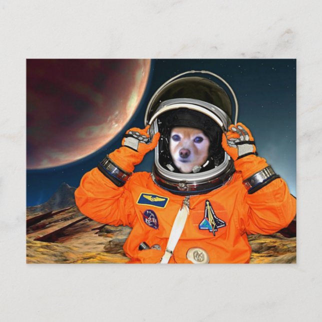 Carte Postale Fox Est Un Astronaute #2 (Devant)