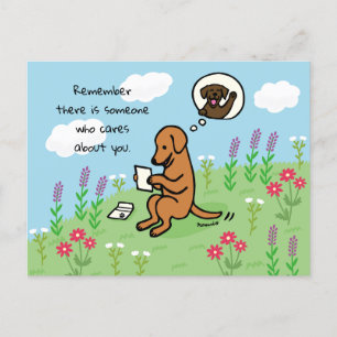 Carte Postale Fox Red Labrador et la lettre Quelqu'un s'occupe