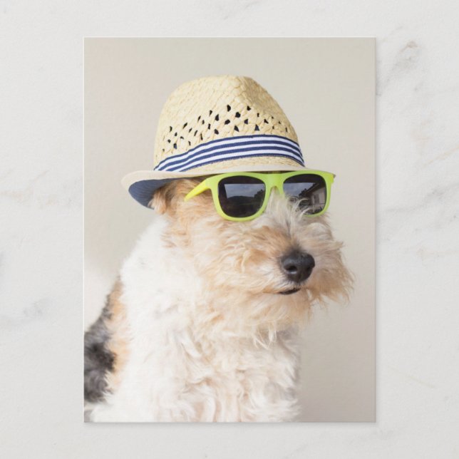 Carte Postale Fox Terrier (Devant)