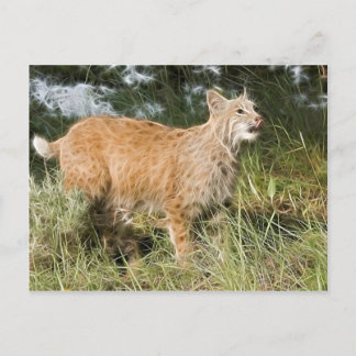 Carte Postale Fractalius Bobcat