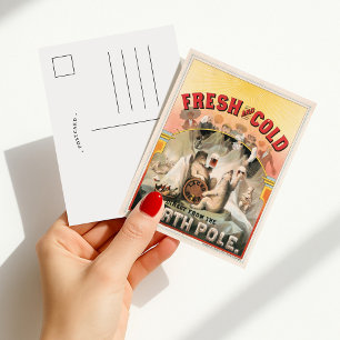 Carte Postale Fraîche et froide – Bière directement livrée du Pô