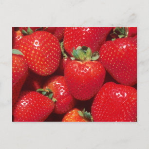 Carte Postale Fraises