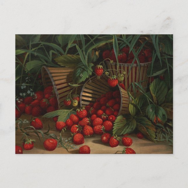 Carte Postale Fraises (Devant)