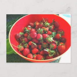 Carte Postale Fraises