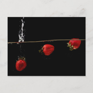 Carte Postale Fraises dans l'eau