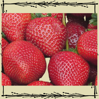 Carte Postale Fraises du marché agricole