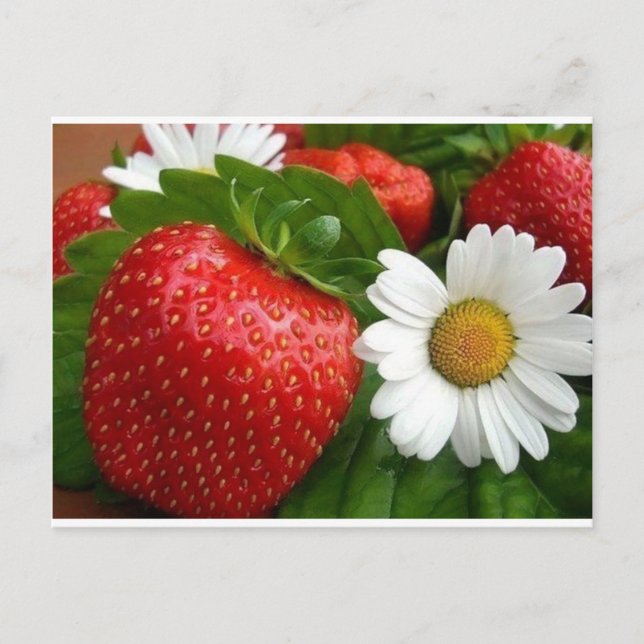 Carte Postale Fraises et marguerites (Devant)
