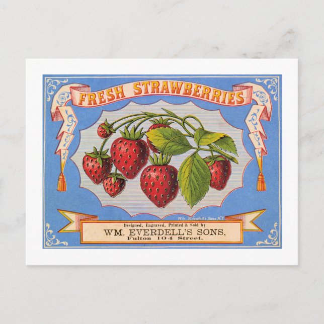 Carte Postale Fraises fraîches (Devant)