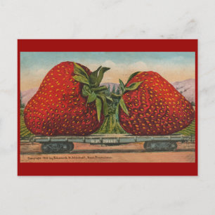 Carte Postale Fraises Giant Fruit Antique Fruit Amusant