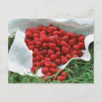Framboise