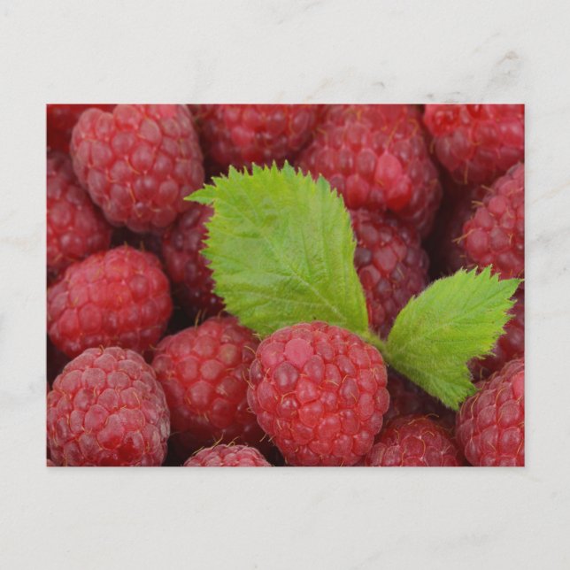 Carte Postale Framboise (Devant)