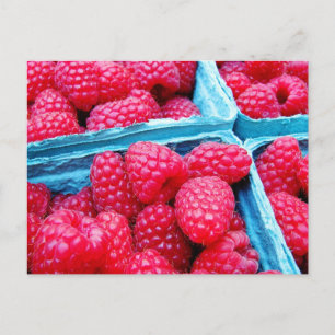 Carte Postale Framboises fraîches