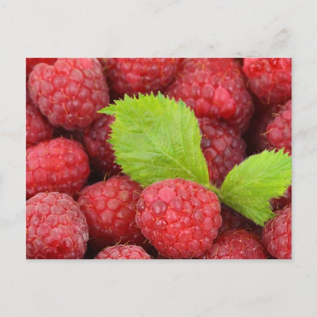 Carte Postale Framboises rouges (Devant)