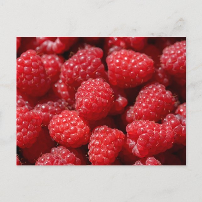 Carte Postale Framboises rouges sucrées et fraîches (Devant)