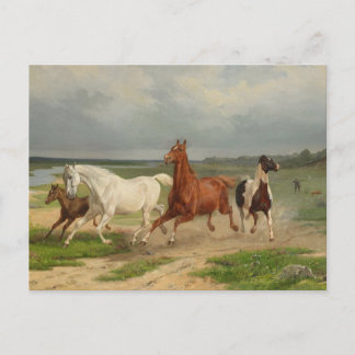 Carte Postale Français : Chevaux en vol