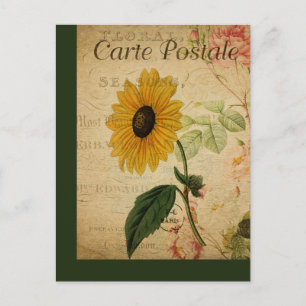 Carte postale française botanique vintage Tourneso