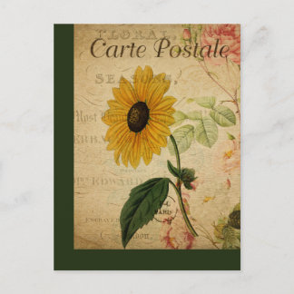 Carte postale française botanique vintage Tourneso