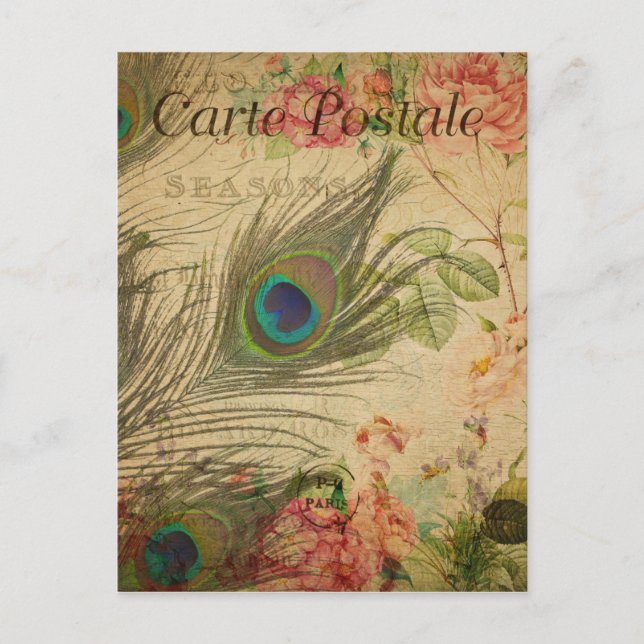 Carte Postale française vintage avec plume de paon (Devant)