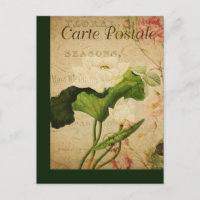 Carte postale française vintage Botanique Lotus