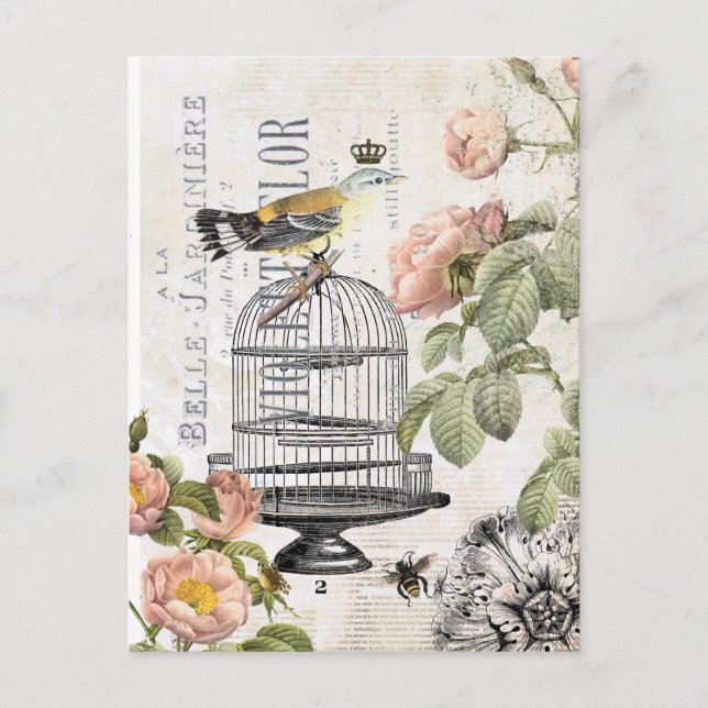 Carte postale française vintage d'oiseau (Devant)