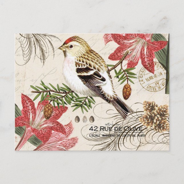 Carte postale française vintage moderne d'oiseau (Devant)