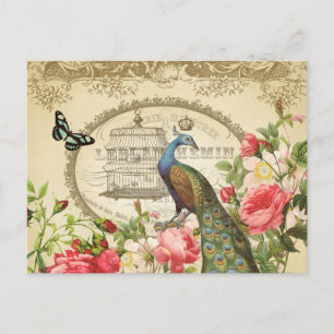 Carte postale française vintage Peacock