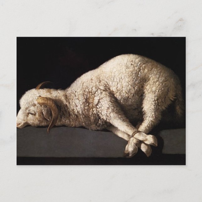 Carte Postale Francisco de Zurbaran - Agnus Dei (Devant)