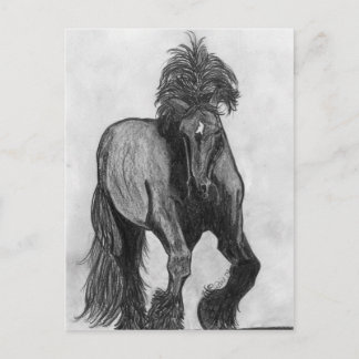 Carte Postale Frankie