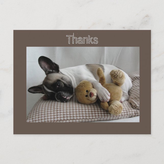 Carte Postale Französische Bulldogge Teddy French Bulldog (Devant)
