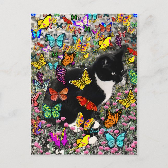 Carte Postale Frappes en papillons - Tux Kitty Cat (Devant)