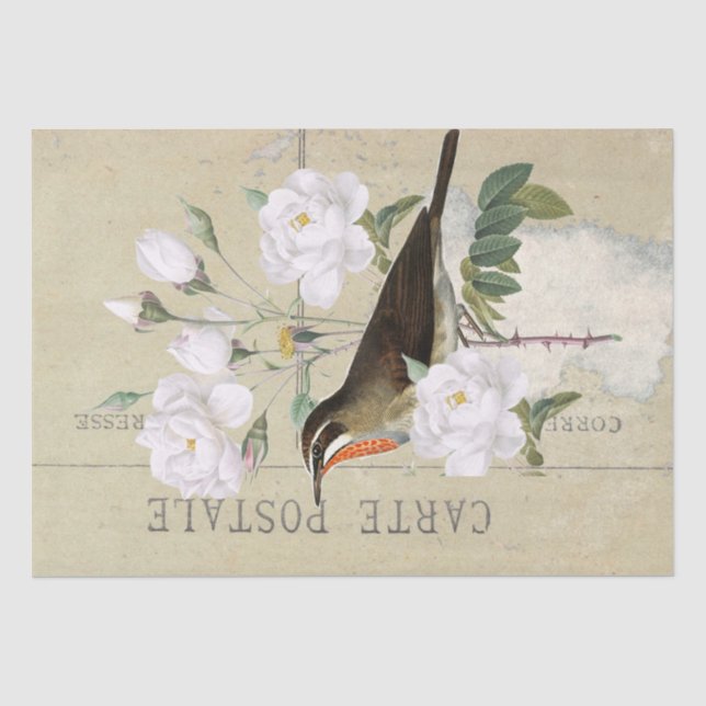 Carte Postale French Bird White Rose Decoupage Seidenpapier (Vorderseite)