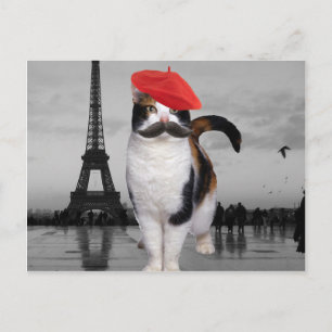 Carte Postale French Cat à Paris
