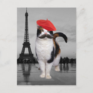 Carte Postale French Cat à Paris