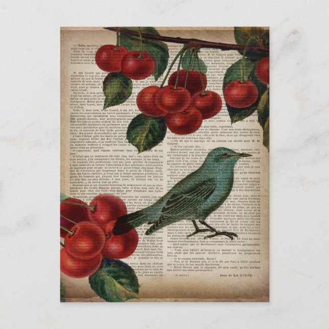 Carte Postale frentry bird retro botanical red cherry (Devant)