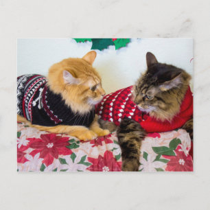 Carte Postale Frères