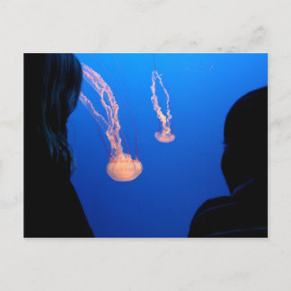 Carte Postale Frères