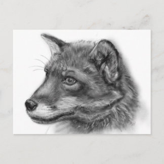 Carte Postale Frida, The Wee Scottish Fox !