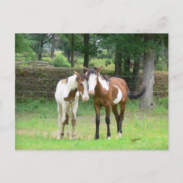 Carte postale Friends (Devant)