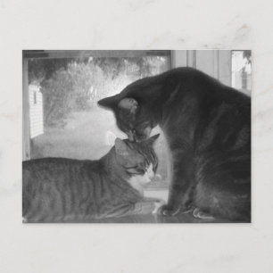 Carte postale Friends