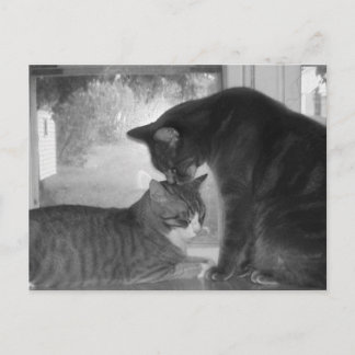 Carte postale Friends