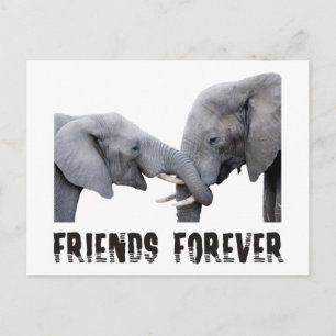 Carte Postale Friends Forever Elephants embrasser / embrasser