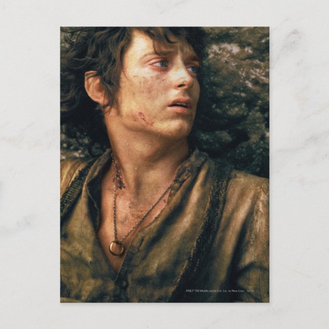 Carte Postale FRODO™ dans Despair (Devant)
