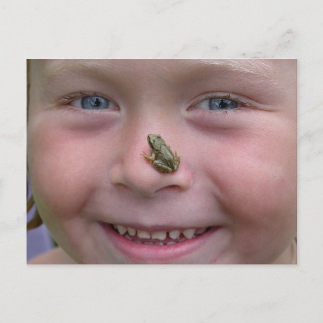 Carte Postale Frog (Devant)