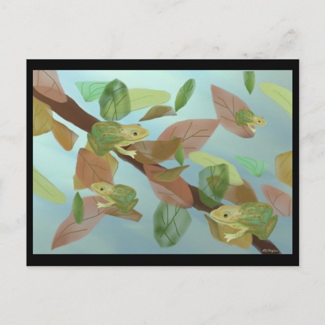 Carte Postale Frogs (Devant)