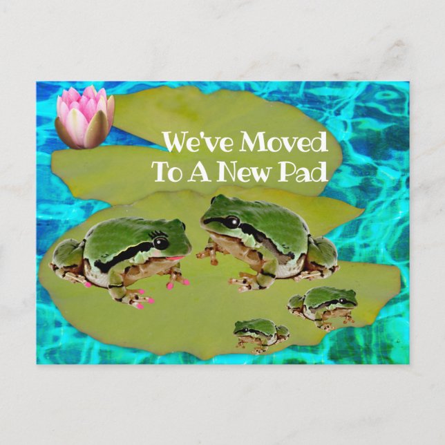 Carte Postale Frogs Humoristiques Lys Pad Nous Avons Déplacé Fai (Devant)