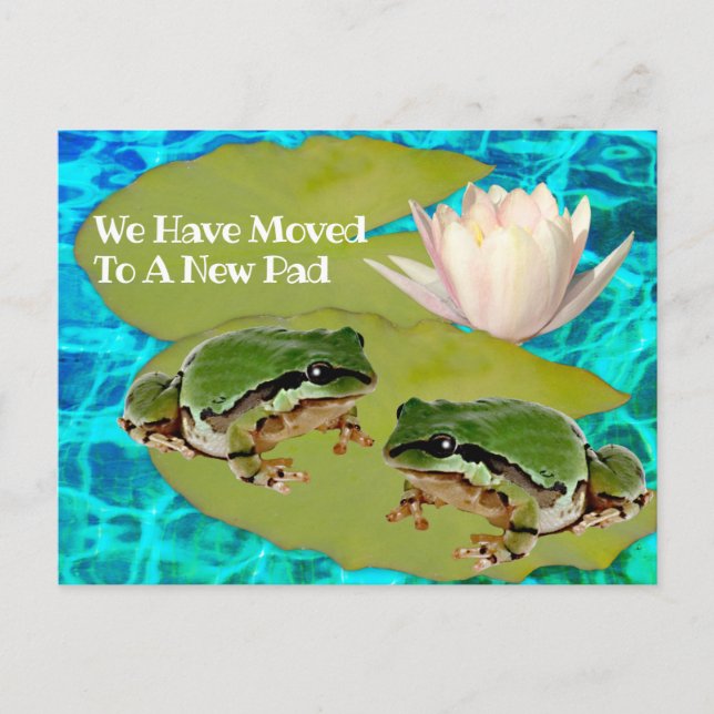 Carte Postale Frogs Humoristiques Lys Pad Nous Avons Déplacé Fai (Devant)