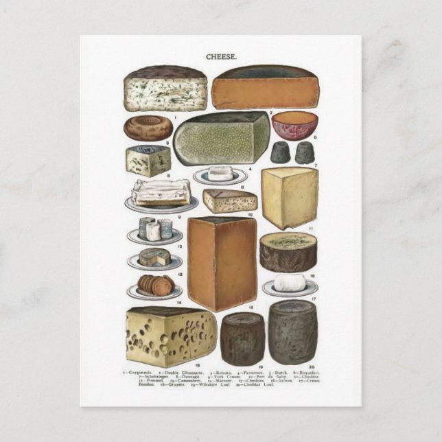Carte Postale Fromage (Devant)