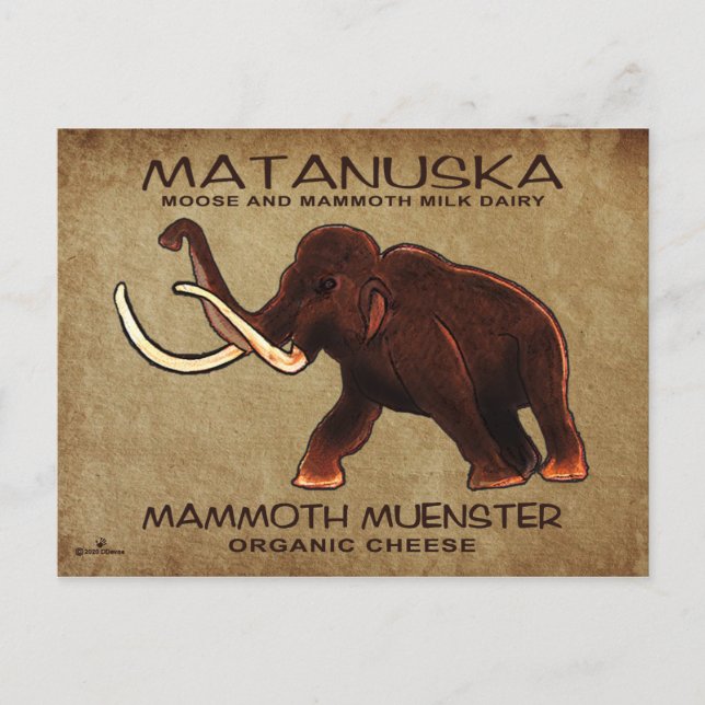 Carte Postale Fromage de menster Matanuska Mammoth (Devant)