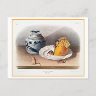 Carte Postale Fromage de souris à manger Illustration Vintage